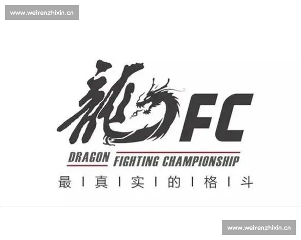 格斗竞技新时代全方位解析从赛事规则到选手心理的深度剖析